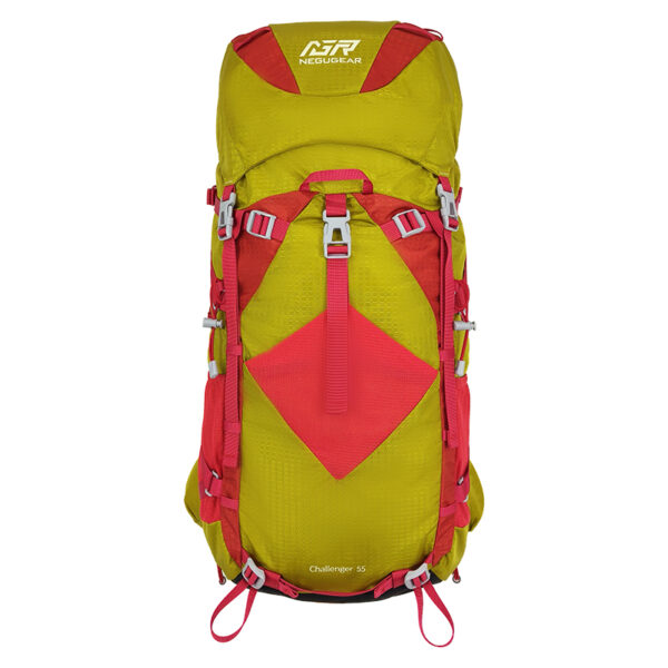 Challenger Backpack