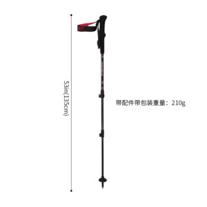 Backcountry Carbon Trekking Poles