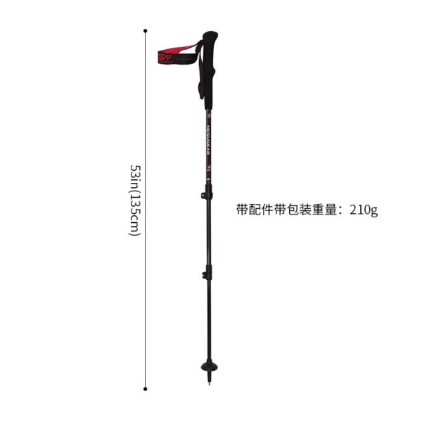 Backcountry Carbon Trekking Poles