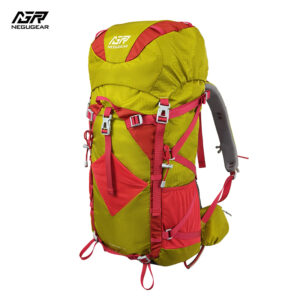 Challenger Backpack