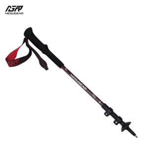 Backcountry Carbon Trekking Poles